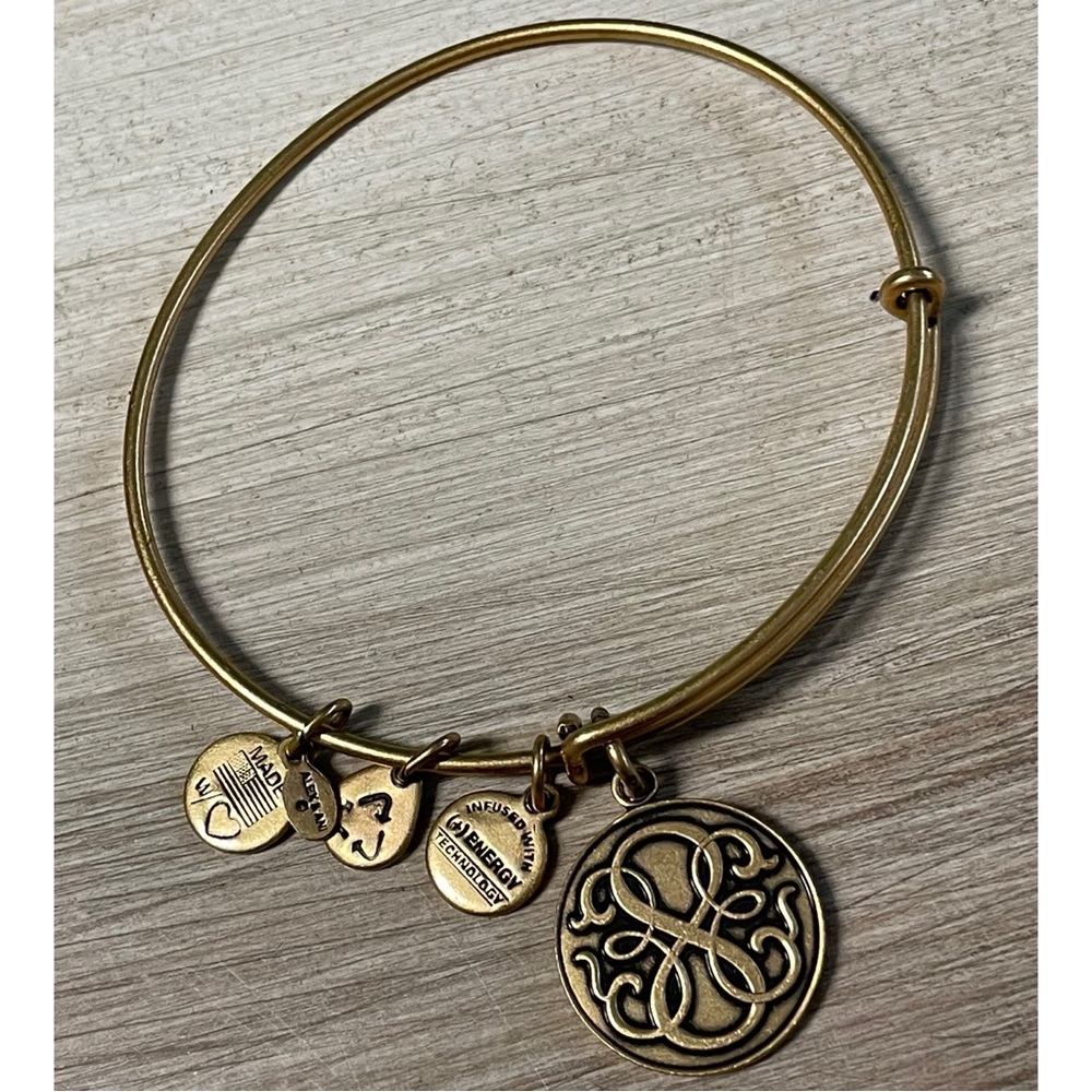 Alex and Ani 2013 Infinity Rafaelian Gold Bangle Bracelet